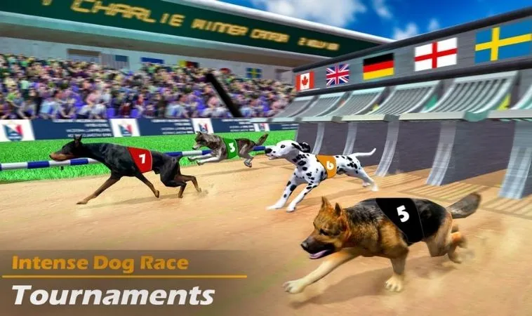 Đồ họa game nhanh Đua Chó tại Loto188 đẹp, sắc nét